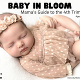 Baby In Bloom: Mama's Guide To The 4th Trimester