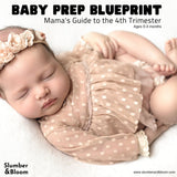 Baby Prep Blueprint: Mama's Guide To The 4th Trimester